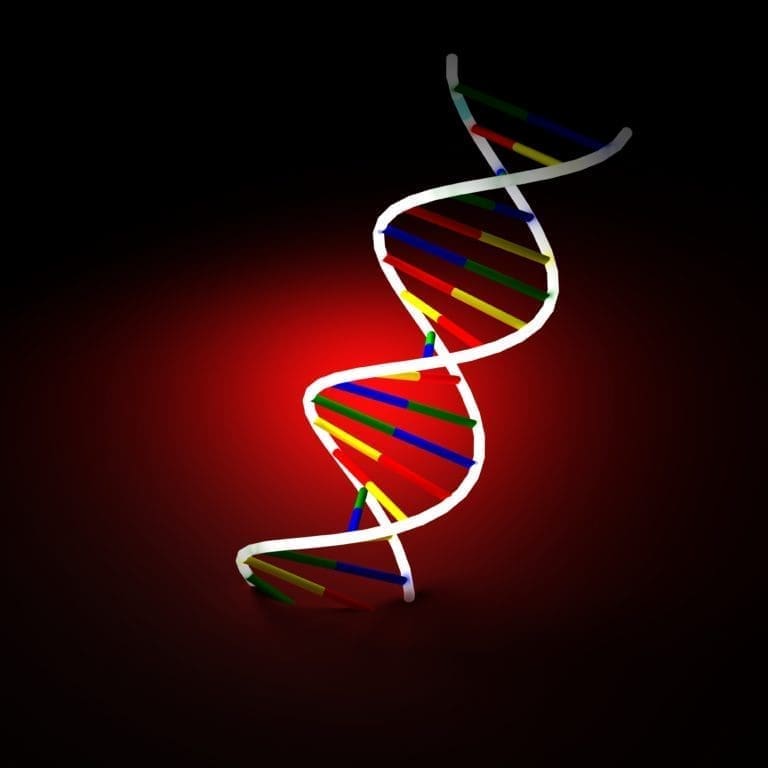 DNA