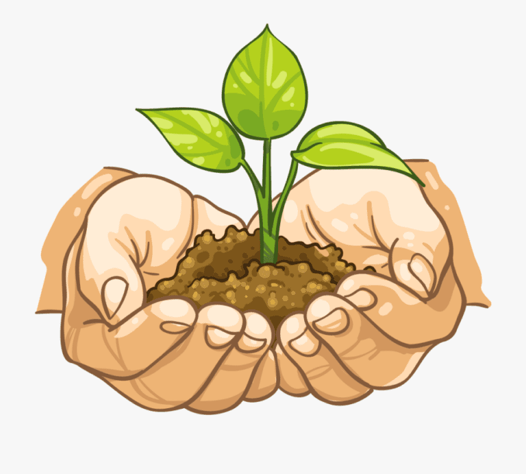 New Beginnings – Tips for Research